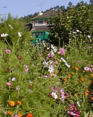 le deuxième atelier de Monet vu depuis son jardin