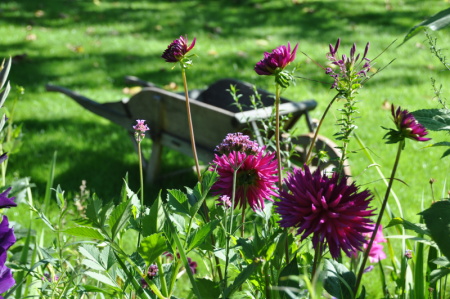 Brouette à Giverny