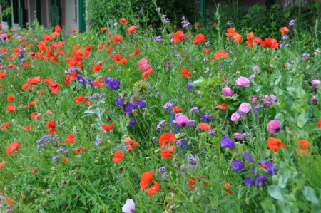Giverny