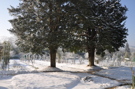 Le clos normand en hiver