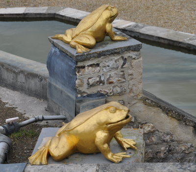 Les grenouilles dorées de Champ de Bataille