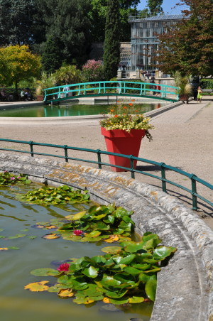 Jardin des plantes de Rouen