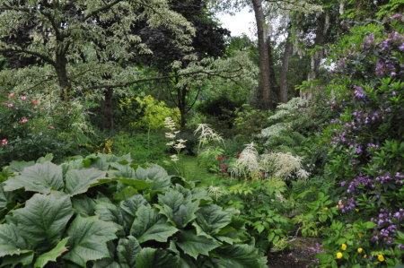 Le jardin de Valérianes