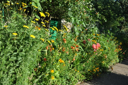 Massif d'été à Giverny