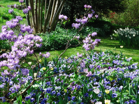 Giverny
