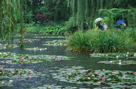 Giverny sous la pluie