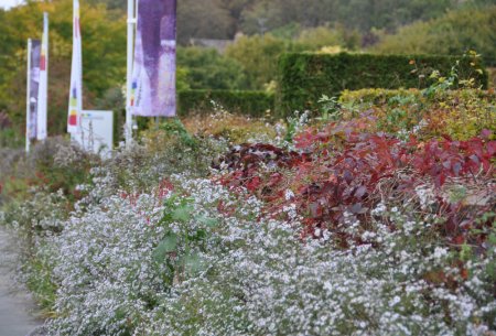 Rue Claude Monet, le musée des Impressionnismes Giverny
