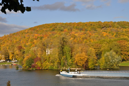 Forêt de Vernon en automne