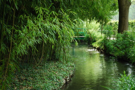 La bambouseraie de Monet
