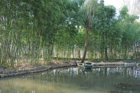 Bambouseraie de Giverny