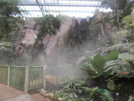 Biotropica