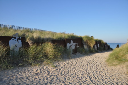 Juno Beach