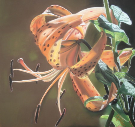Lis martagon, pastel de Sophie Peslier