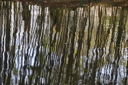 Reflets