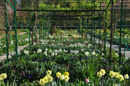 Giverny en avril