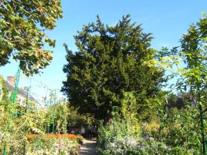 If dans le jardin de Monet à Giverny