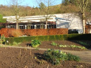Le jardin blanc du MAAG en hiver
