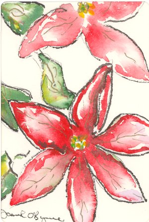 poinsettias, aquarelle de Joan O'Byrne