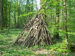 Cabane dans les bois près de Paris