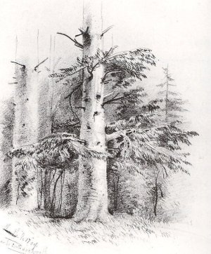 Sapins, sous-bois, Claude Monet 1857 Crayon sur papier