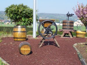 Pressoir et tonneaux