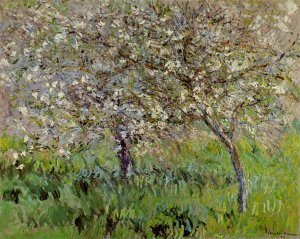 Pommiers en fleurs, Giverny, 81x100 cm, par Claude Monet, 1901 Collection particulière