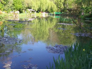 Le bassin de Monet