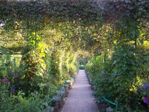 Giverny, allée des clématites