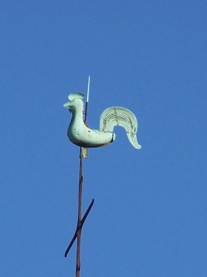 Coq d'église