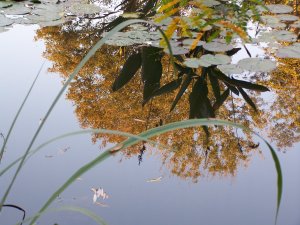 Giverny