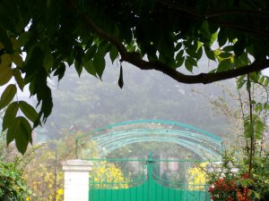 Glycine