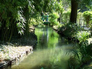 Le Ru à Giverny
