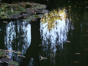 giverny