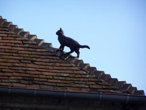 Chat en céramique