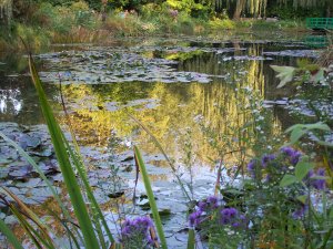 Jardin de Monet