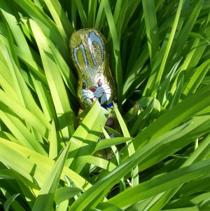 Lapin de Pâques