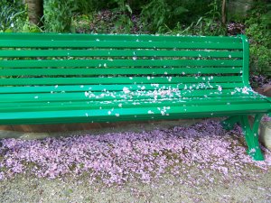 Banc dans le jardin de Monet