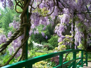 Glycine