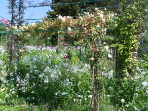 Jardin de Monet
