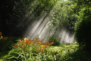 Arrosage à Giverny