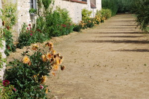 potager de la Roche-Guyon