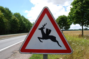 danger traversée d'animaux