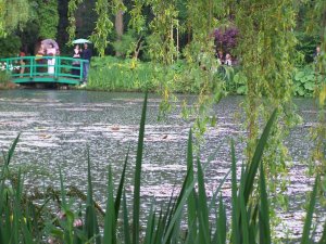 Le bassin de Monet sous la pluie