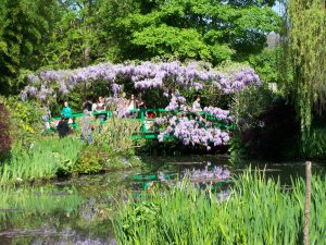 Le pont japonais et sa glycine dans le jardin de Monet à Giverny