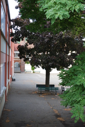 cour de collège