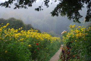 Giverny