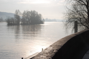 La Seine à Vernon, effet du matin