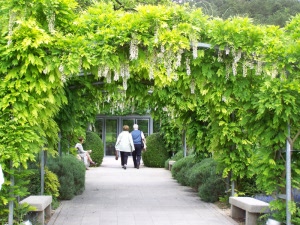 Musée des Impressionnismes Giverny