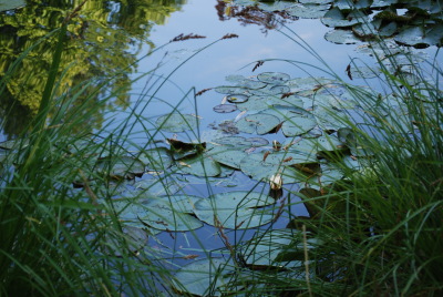 Giverny