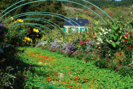 Grande allée, Giverny